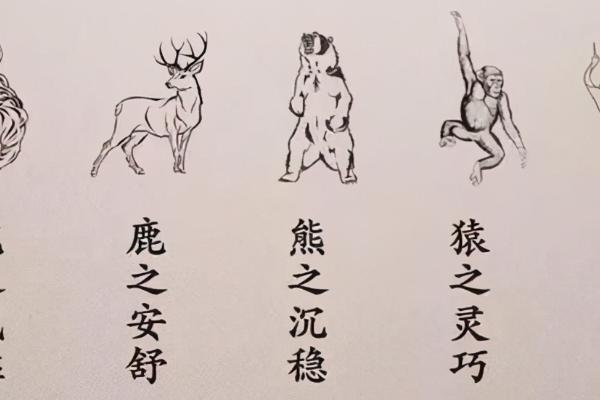 五禽戏包括哪些动物，包括虎、鹿、熊、猿、鸟这五种动物