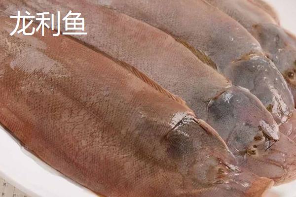 巴沙鱼简介，是原产于湄公河流域的淡水鱼类