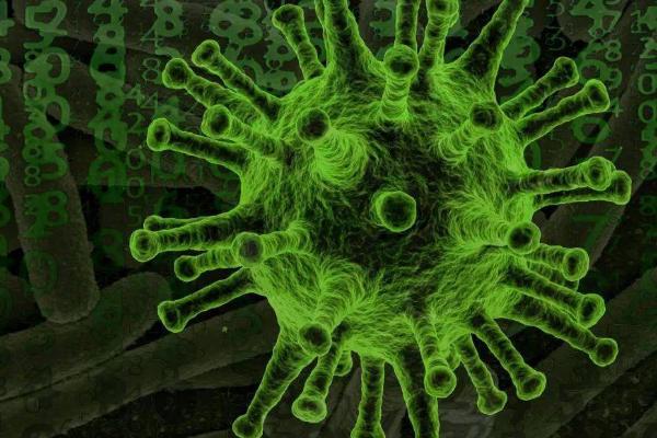 病毒有哪些种类，根据遗传物质的区别可分为RNA病毒、DNA病毒