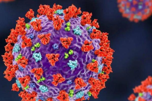 病毒有哪些种类，根据遗传物质的区别可分为RNA病毒、DNA病毒