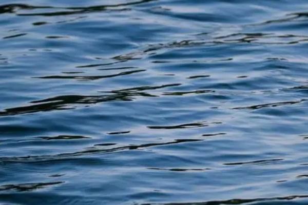 水的相关介绍，由氢、氧两种元素组成