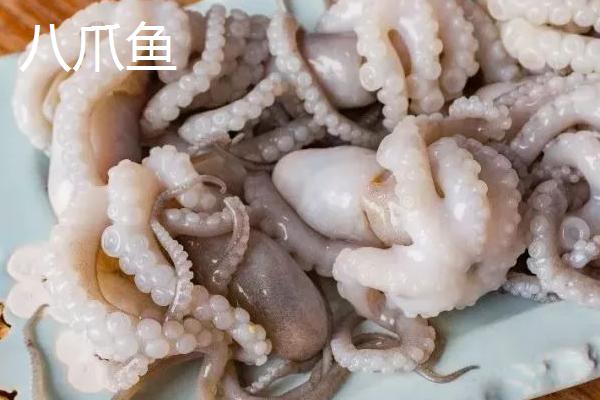 如何处理八爪鱼，洗净表皮粘液、再清理内脏和墨汁