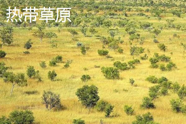 亚寒带针叶林气候简介，夏季短促温凉且冬季严寒漫长