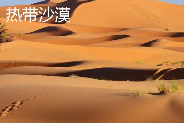 亚寒带针叶林气候简介，夏季短促温凉且冬季严寒漫长