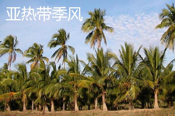亚寒带针叶林气候简介，夏季短促温凉且冬季严寒漫长