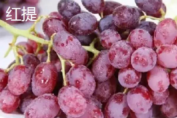 盐水能不能洗净提子，浸泡15-20分钟即可洗净