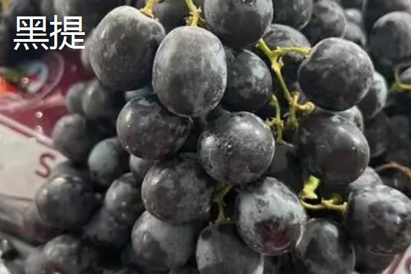 盐水能不能洗净提子，浸泡15-20分钟即可洗净