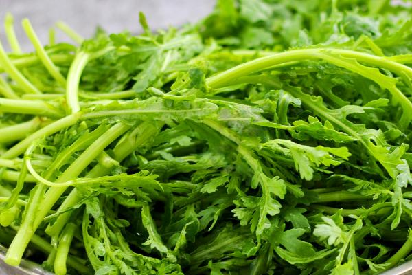 什么是皇帝菜，通常是指茼蒿、因宫廷御用而得名