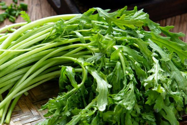 什么是皇帝菜，通常是指茼蒿、因宫廷御用而得名