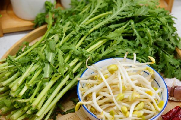 什么是皇帝菜，通常是指茼蒿、因宫廷御用而得名