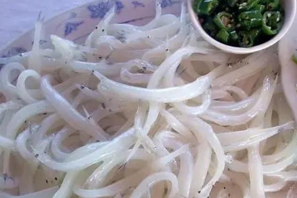什么是白饭鱼，属于鲑形目、银鱼科鱼类的统称